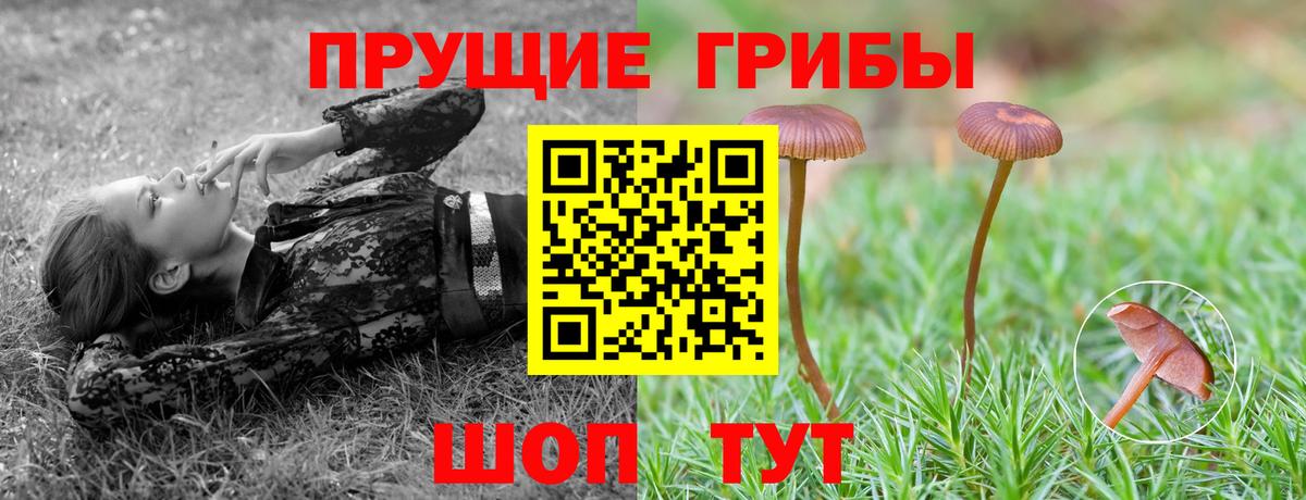 Псилоцибиновые грибы Cubensis  Галлюциногенные грибы Psilocybe  Нарткала  Вход с VPN 